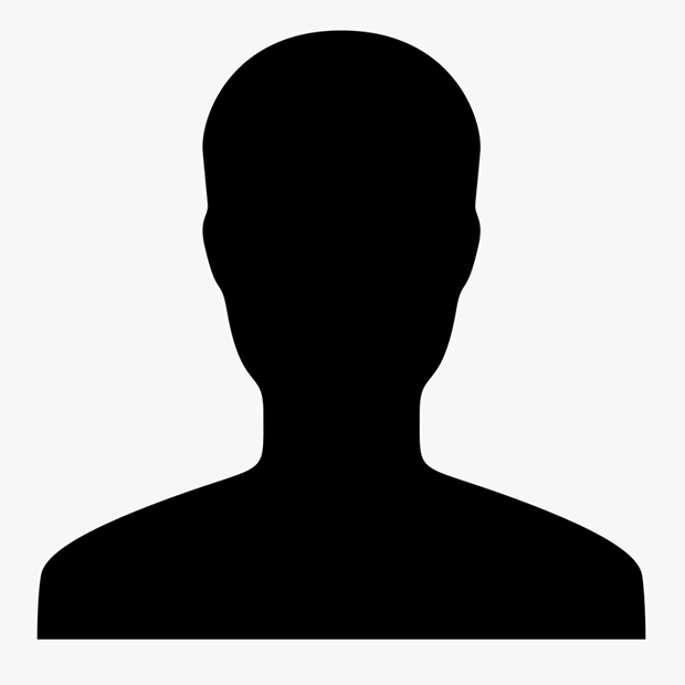 wordpress developers